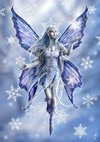 Snowflake Fairy (Wintergre)